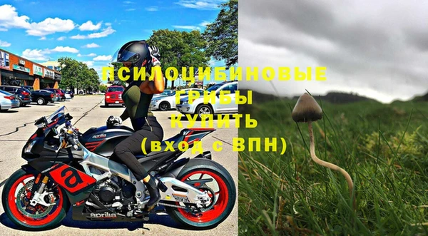 тгк Белокуриха