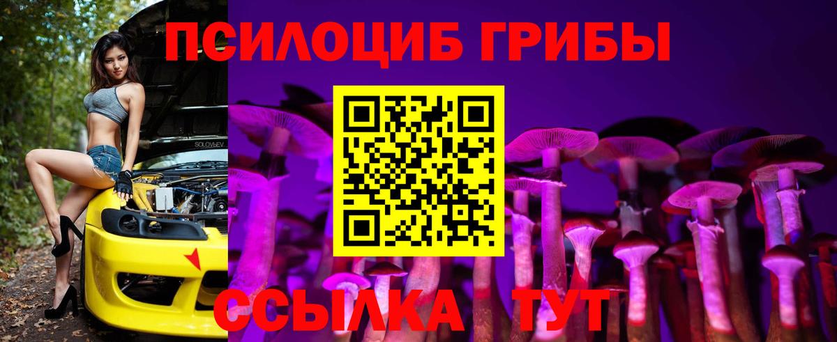 Галлюциногенные грибы Psilocybe Горячий Ключ