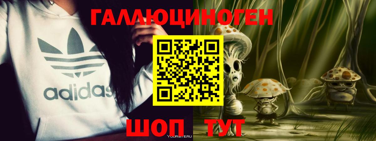 Псилоцибиновые грибы прущие грибы Горячий Ключ