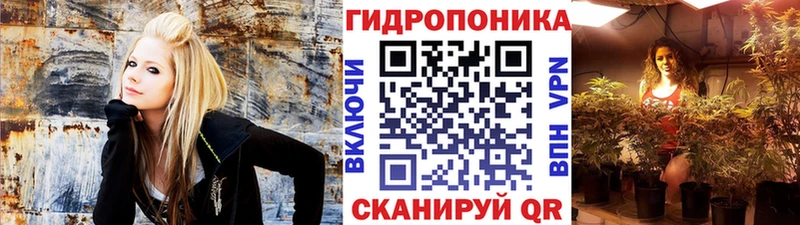 Шишки марихуана ГИДРОПОН Горячий Ключ